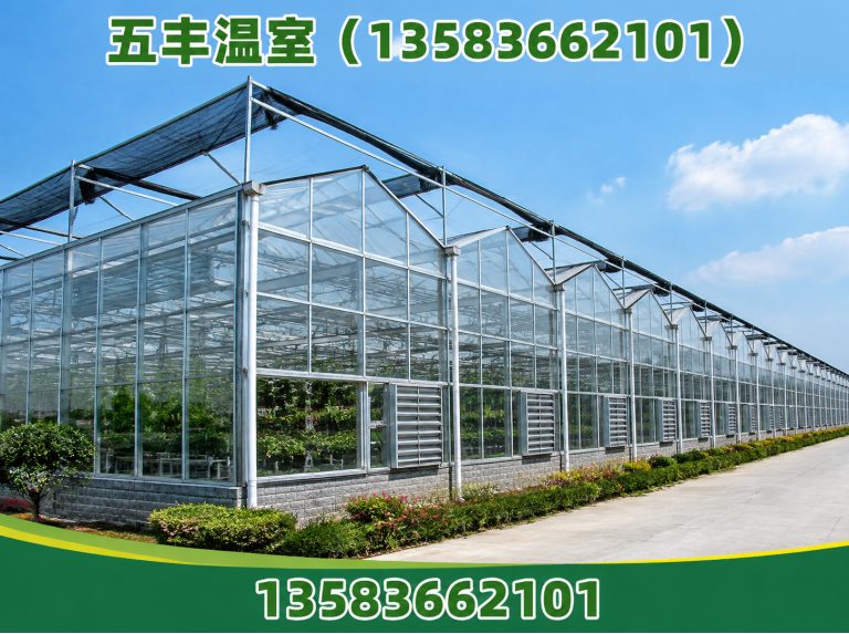 潍城区温室工程展示图